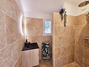 普朗德拉图尔Bambou的带水槽和淋浴的浴室 更多10张照片