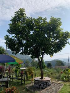 Un paisaje natural cerca de la habitación en casa particular