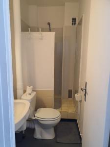 a small bathroom with a toilet and a sink at Hôtel de la promenade in Bains-les-Bains +6 photos