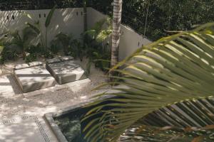 a garden with two beds and a palm tree at Large 6BR Tulum Villa with Pool Aldea Zama in Tulum