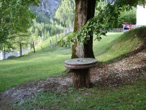 a tree with a bench sitting on top of it at House Pod Lipo in Trenta