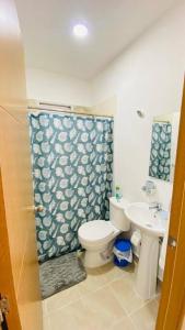 プンタ・カナにあるAmazing and cozy apt located in downtown of Punta Canaのトイレと洗面台付きのバスルーム
