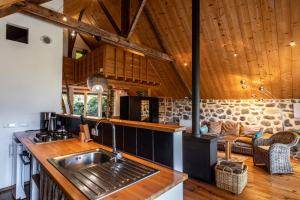 a kitchen with a sink and a living room at Le Clou in Thiézac