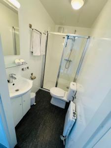 a bathroom with a shower and a toilet and a sink at '' Mustique'' Cozy & Romantic Houseboat in Maastricht in Maastricht +2 photos