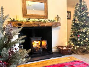 Gallery image of Rosemount Cottage ONE- Highland Cottage in Garve +67 photos