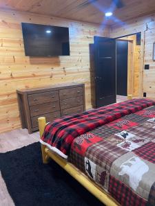 a bedroom with a bed and a flat screen tv at The Saige - Hot Tub, Fire Pit, and huge entertainment area in Logan +48 photos