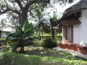a yard next to a house with a tree at Teranga saly senegal in Saly Portudal