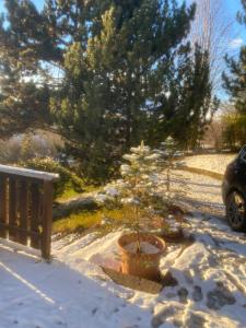 La casa di nonno carlo during the winter