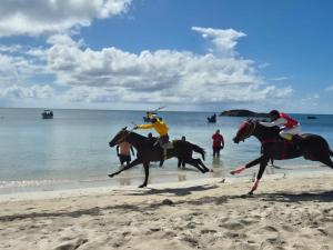 a group of people riding horses on the beach at Berton Place in Providencia