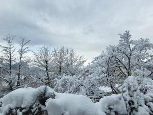 冬天的Rigi Paradise in Vitznau, Lake access, Ferry Terminal, Rigibahn, Restaurants all 2 minutes walking distance
