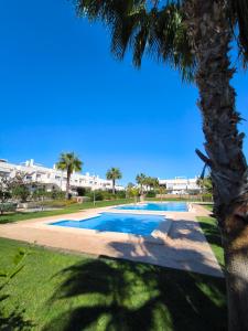 een zwembad met een palmboom op de voorgrond bij Vista bella golf beach in Orihuela