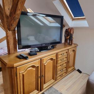 TV a/nebo společenská místnost v ubytování Apartment 5 Studio