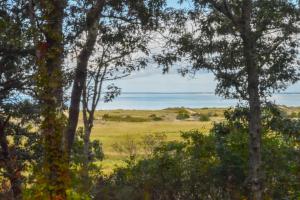a view of a field through the trees at Walk to beach Secluded and private home and backyard in Brewster