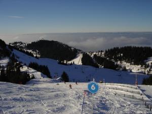 L'établissement Chalet les Alpages vue panoramique sur le lac Léman en hiver