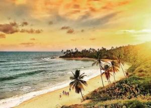 a painting of a beach with palm trees and the ocean at Pousada Odoyá Beach - Quádrupla in Conde