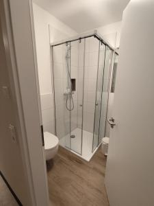 a bathroom with a shower and a toilet at Landhaus Levitzow in Levitzow +133 photos