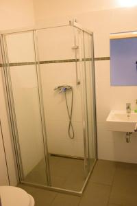a bathroom with a shower and a sink at Budget Apartment in Prague