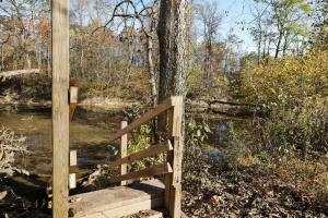 a wooden bridge over a river next to a tree at Riverfront w Deck Grill Fire pit & Climbing Wall in Hedgesville