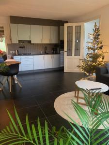 a kitchen and living room with a christmas tree in it at Lis de Maison in Bergentheim