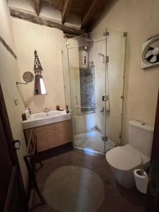 un bagno con doccia, WC e lavandino di Old Boutique Palace Accomodation in Cairo R#6789Flat a Il Cairo Altre 14 foto