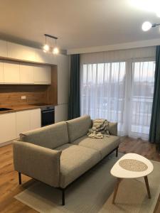 Kuchyň nebo kuchyňský kout v ubytování Blue City Residence Sibiu