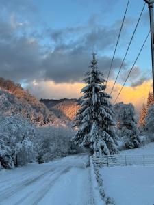 Φωτογραφία από το άλμπουμ του Cabana Laica, România σε Petrila +25 φωτογραφίες