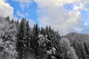 Φωτογραφία από το άλμπουμ του Cabana Laica, România σε Petrila