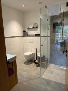 a bathroom with a glass shower and a toilet at Rosa Alpina Appartement in Bürserberg +32 photos