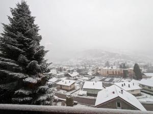 une ville enneigée avec un arbre de Noël dans l'établissement Chalet Terrasse Plein Sud, Cheminée, Ski-Rando, Nature & Village, Animaux admis, Parking, à La Bresse 19 autres photos