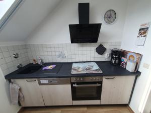 Kuchyň nebo kuchyňský kout v ubytování Gästewohnung Elbblick Zeithain