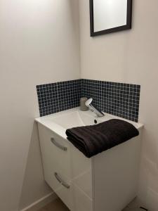a bathroom with a white sink and a mirror at Studio Capelet in Vichy