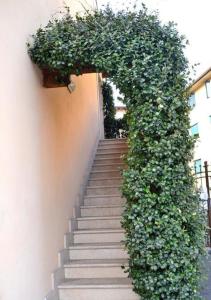 En have udenfor Alloggio La Pesa + 7 billeder