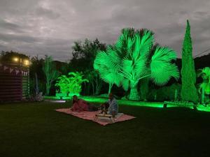 Zahrada ubytování Cabaña Los Pinos