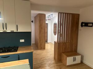 Kuchyň nebo kuchyňský kout v ubytování Apartament 1 Cameră Suceava