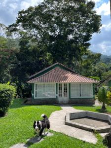 a dog standing in front of a house at Estalagem do Rancho in Itatiaia