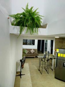 Φωτογραφία από το άλμπουμ του Denier House Guabinal 203 σε Ibagué