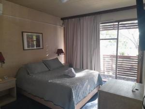 サルトにあるHotel Solar del Acuarioのベッドと大きな窓のある寝室