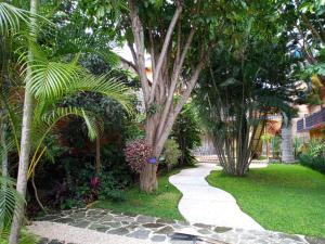 un passaggio attraverso un giardino con palme e erba di Casa Calnacazco a Tepoztlán