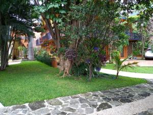 un albero nel cortile di una casa di Casa Calnacazco a Tepoztlán