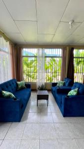 a living room with two blue couches and windows at Blue House with Pool and Air-Conditioning in Puerto Jiménez