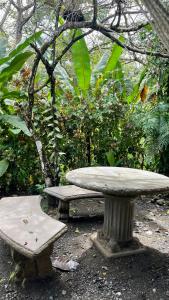 a stone table and bench in a garden at Blue House with Pool and Air-Conditioning in Puerto Jiménez