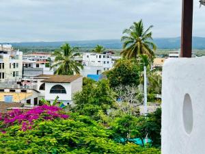 vistas a una ciudad con palmeras y flores en Apartamento familiar Galapagos, en Puerto Ayora