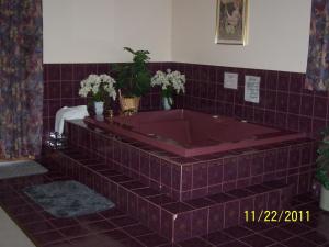 Gambar di galeri bagi Model A Inn di Cranbrook