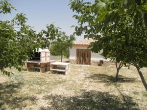 Zahrada ubytování Casas Rurales Campolibre