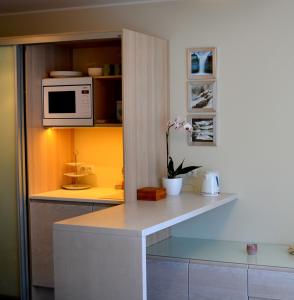 a kitchen with a counter top and a microwave at Aisa 39 Külaliskorter in Pärnu +5 photos