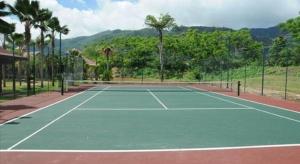 a tennis court with palm trees in the background at Eden Island Maison 78 (Private Pool) in Eden Island