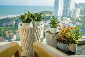Imagine din galeria proprietății The Song Luxury Apartment Vung Tau - Siêu ưu đãi chỉ có trong tuần nay în Vung Tau