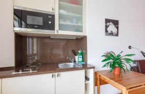 Кухня или мини-кухня в Modern studio Opletalova
