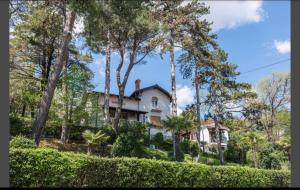 een huis op een heuvel met bomen en struiken bij Apartment Punta with garage, balcony, garden and sea view in Opatija