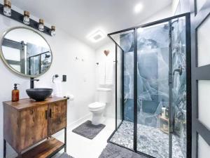 a bathroom with a shower and a sink and a mirror at Unique Denver Tiny House Skiing, Shopping, Hiking in Englewood